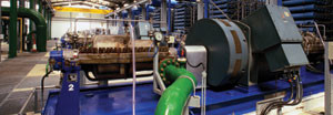 website image